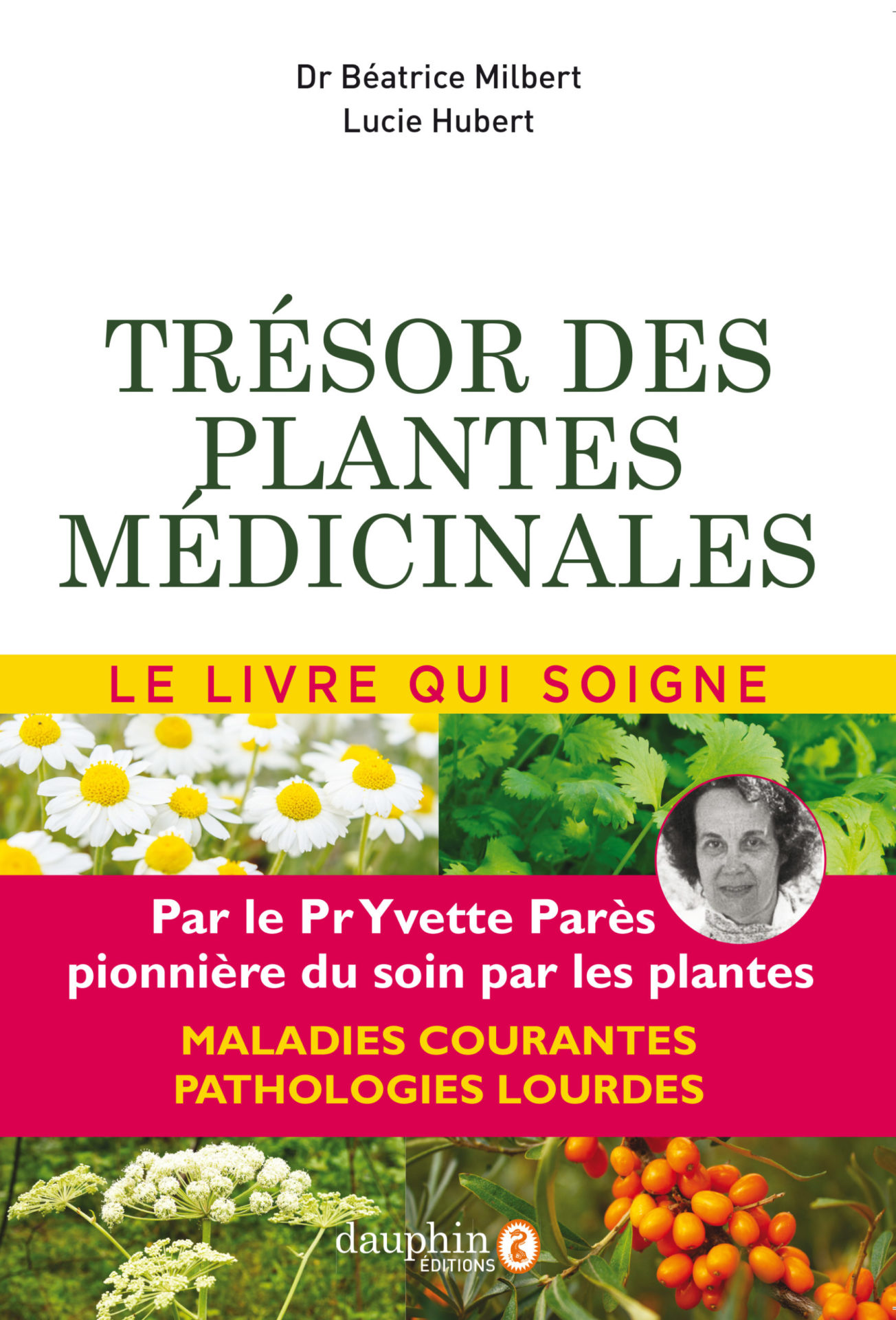 Parès-plantes médicinales-maladies