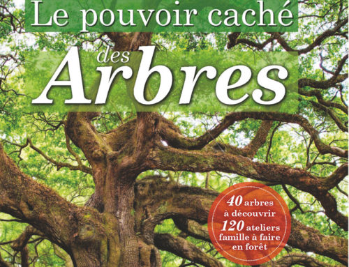 29 août 2021 – article – Le Parisien