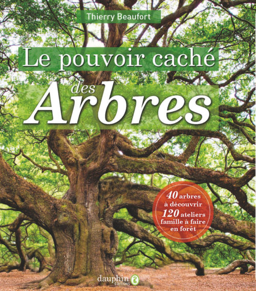 le pouvoir caché des arbres